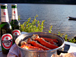 In Salzwasser gekocht mit einem guten Bier, schmecken sie besser als Hummer